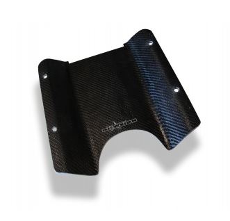 rideplate.JPG